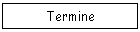 Termine